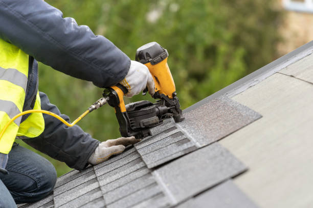 Best Skylight Installation and Repair  in Delta Junction, AK