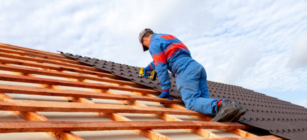 Roof Coating Services in Delta Junction, AK